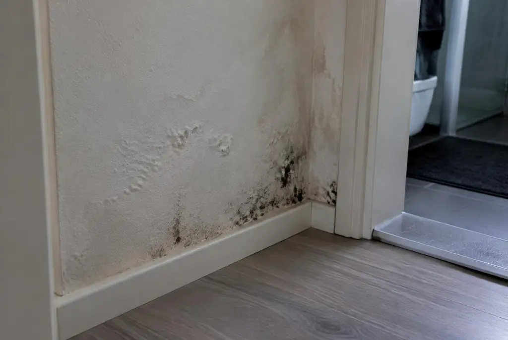 Lekdetectie Vinkeveen – vochtplek met schimmel op een muur
